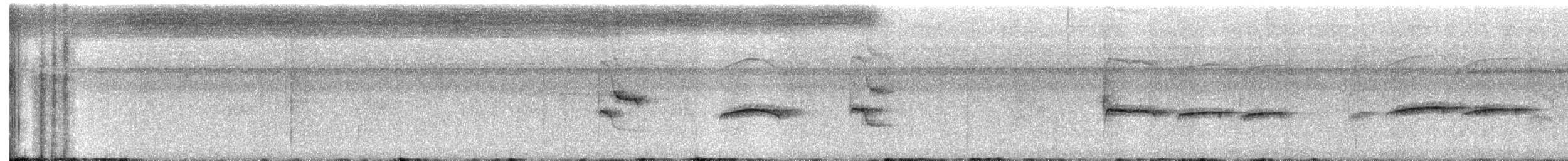 Tyranneau passegris - ML631056081