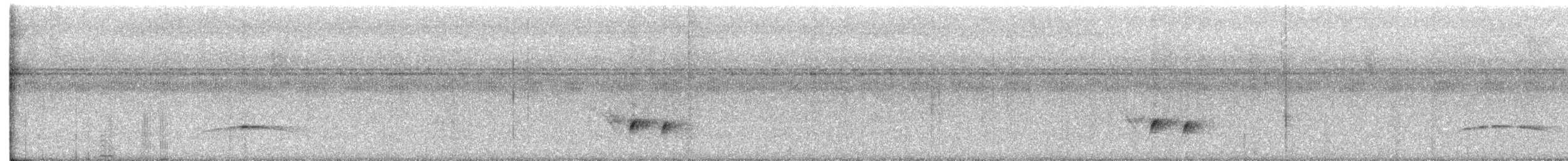 Organiste moucheté - ML631056106