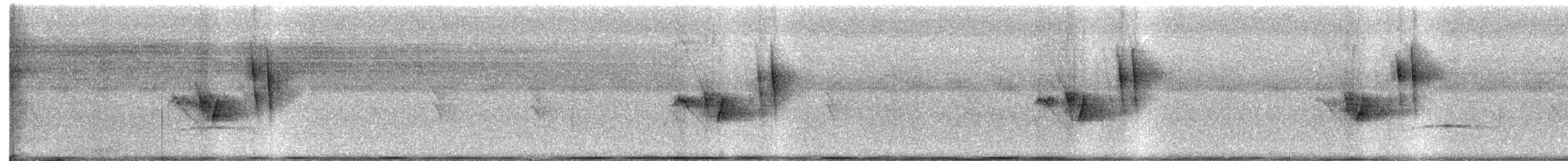 Organiste moucheté - ML631056107