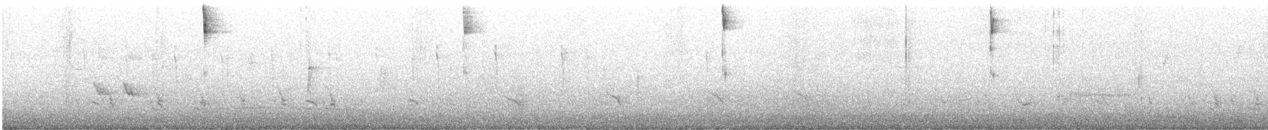 Orange-crowned Warbler (celata) - ML631056375