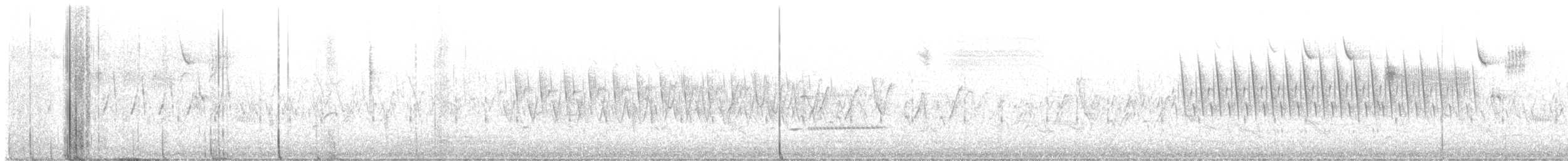 Gelbralle - ML631058375