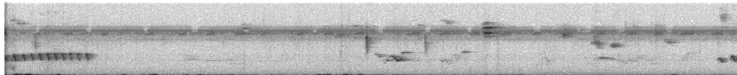 Dusky Antbird - ML631063178