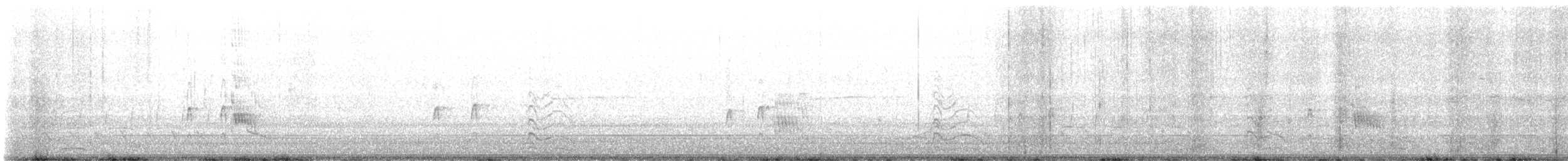 Couch's Kingbird - ML631064428