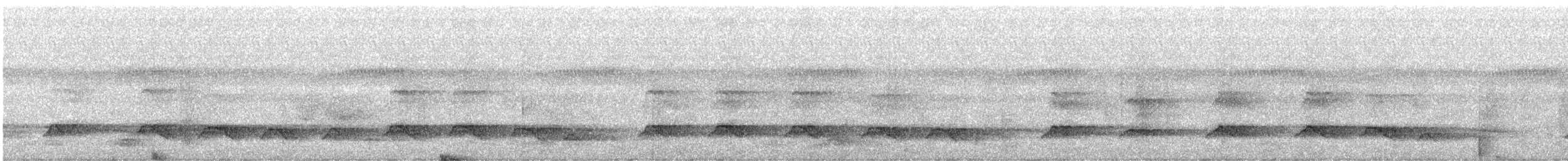 ornatskogørn - ML631069510