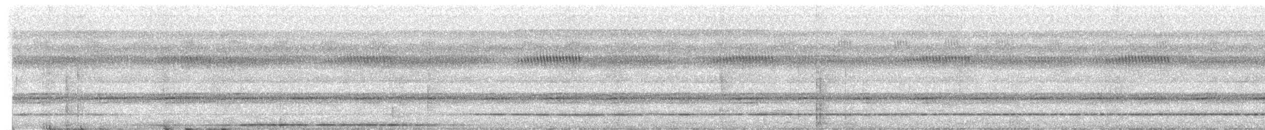 ジアリドリ - ML631070161