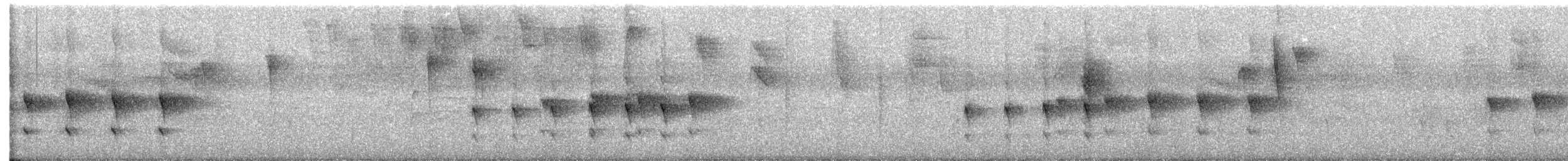 Western Woodhaunter - ML631071342
