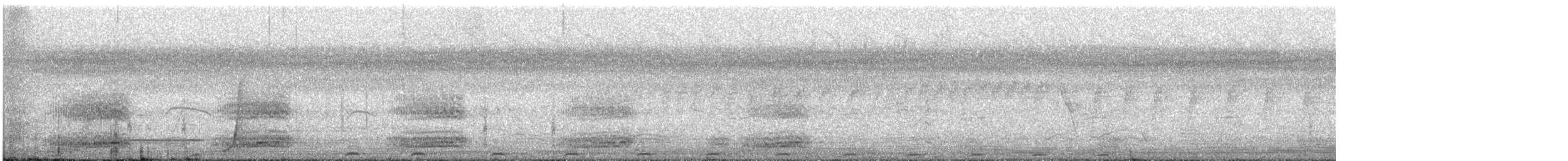 Channel-billed Cuckoo - ML631072068
