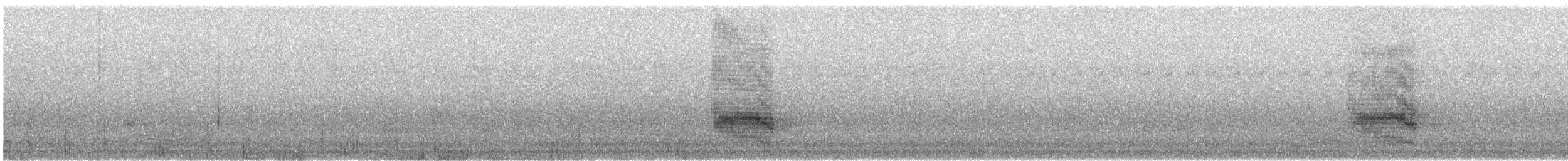 Apôtre gris - ML631073272