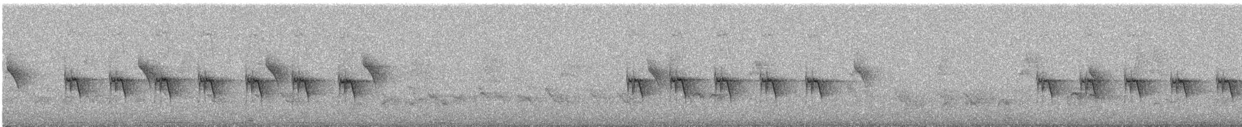 Prinia à sourcils - ML631076564