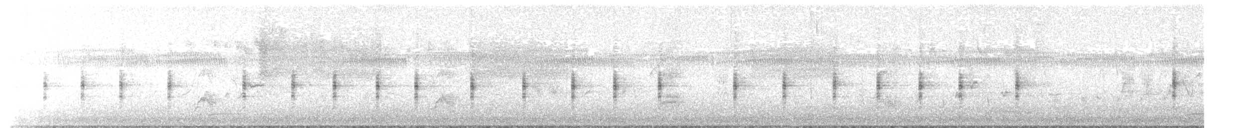 Lewin's Rail - ML631077001