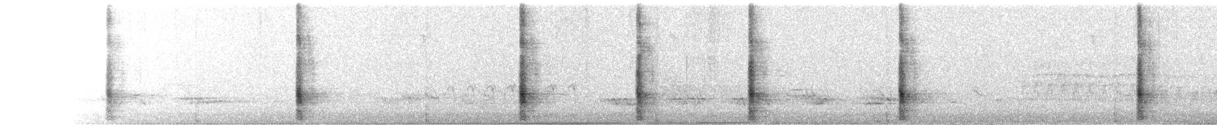 Common Grackle - ML631077424