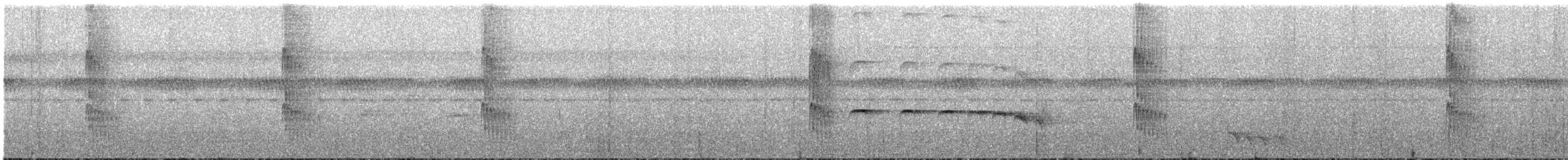 Пласкодзьоб західний - ML631079496