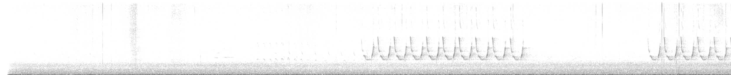 チャバラマユミソサザイ - ML631091793