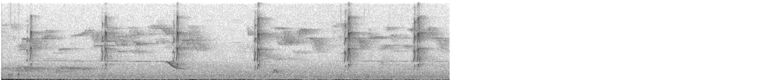 Pic canente - ML631096456