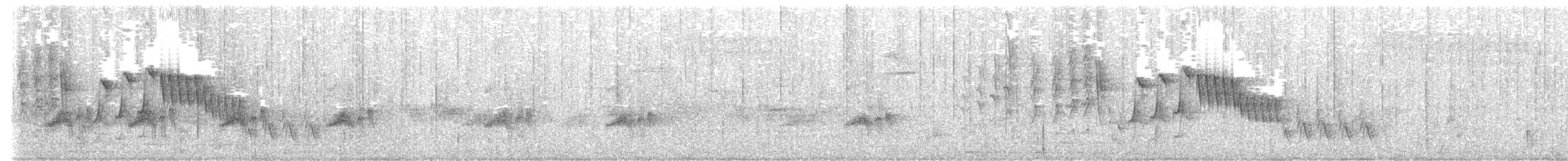 wren sp. - ML631100988