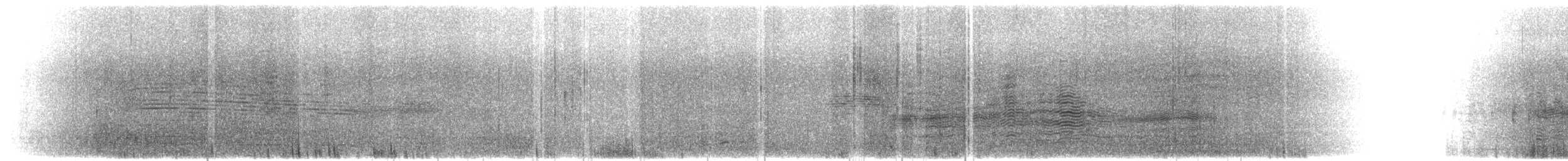 Salvin's Albatross - ML631101113