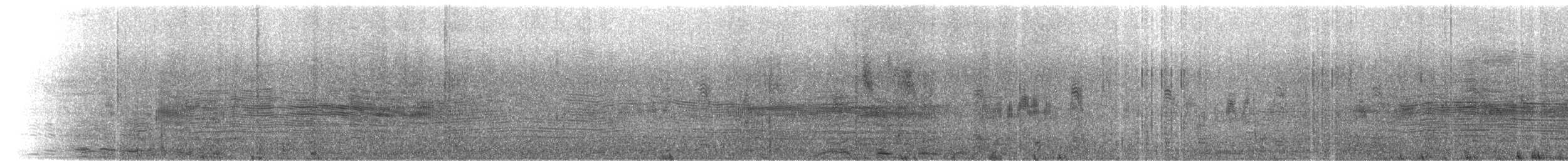 Salvin's Albatross - ML631101115