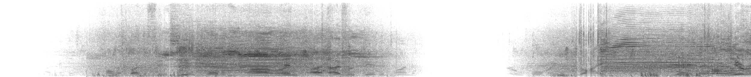 Salvin's Albatross - ML631101117
