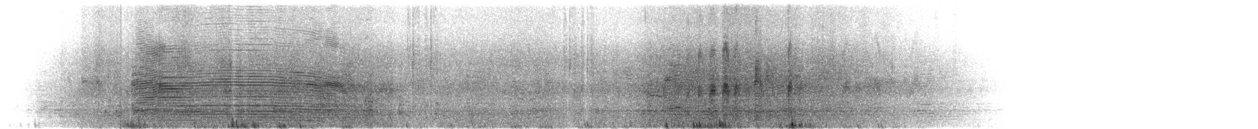 Salvin's Albatross - ML631101119