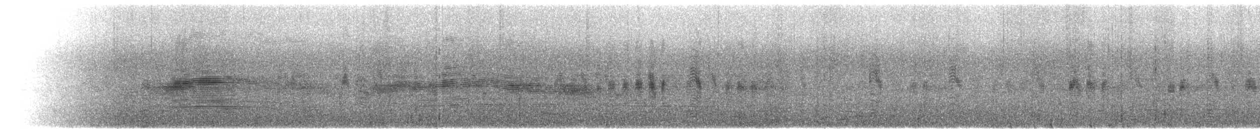 Salvin's Albatross - ML631101120