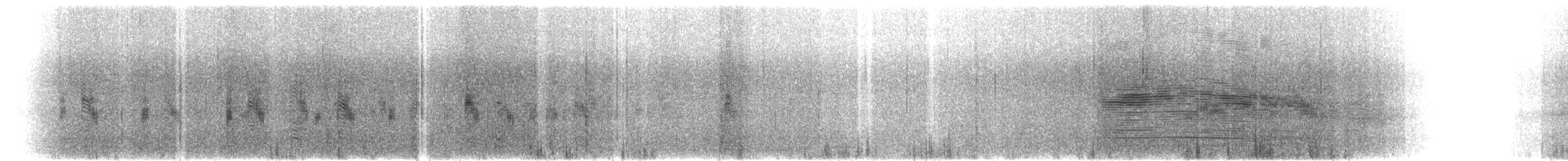 Salvin's Albatross - ML631101121