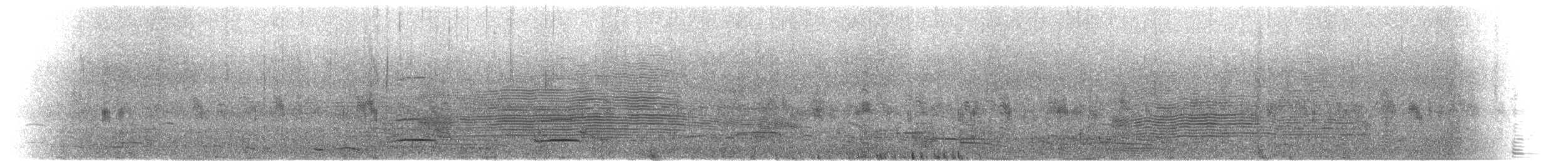 Salvin's Albatross - ML631101122
