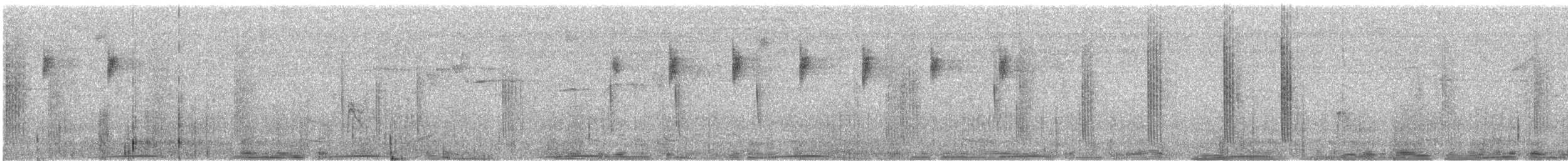 Band-tailed Pigeon - ML631101146
