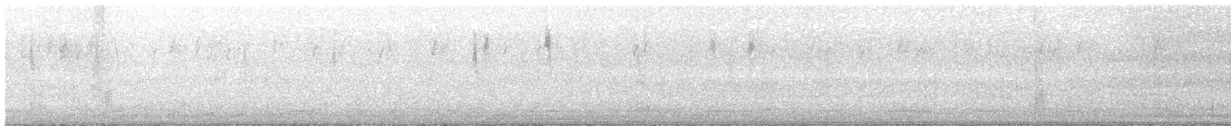 new world warbler sp. - ML631102278
