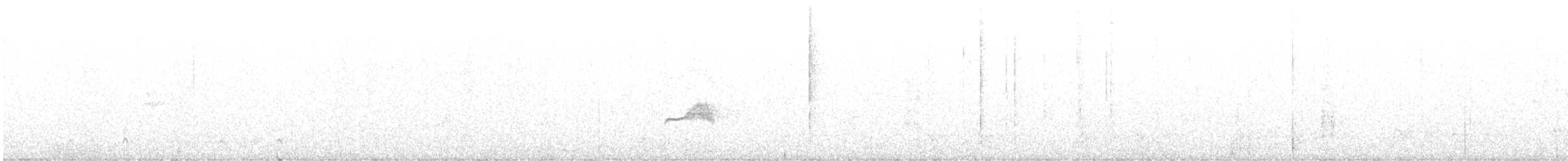 Western Wood-Pewee - ML631102680
