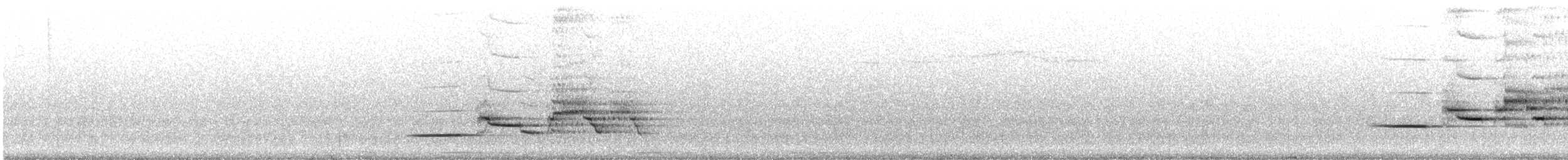 Hermit Thrush (faxoni/crymophilus) - ML63110811