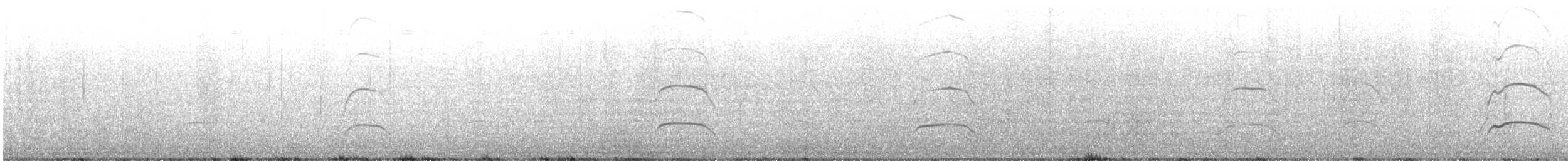 Black Oystercatcher - ML631112925