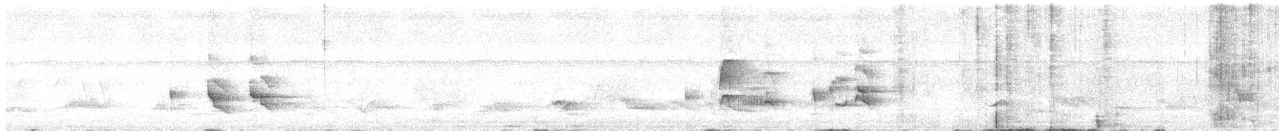 Serra do Mar Tyrant-Manakin - ML631117421