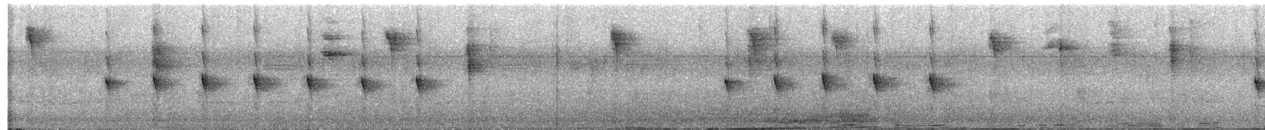 Western Woodhaunter - ML631118388