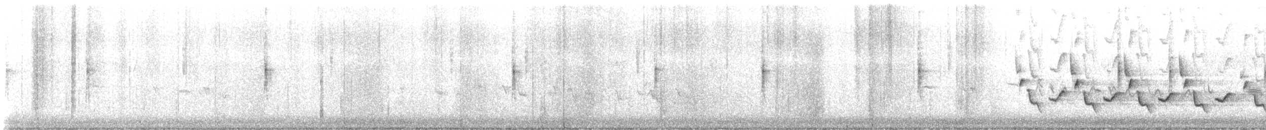 Pine Siskin - ML631120503