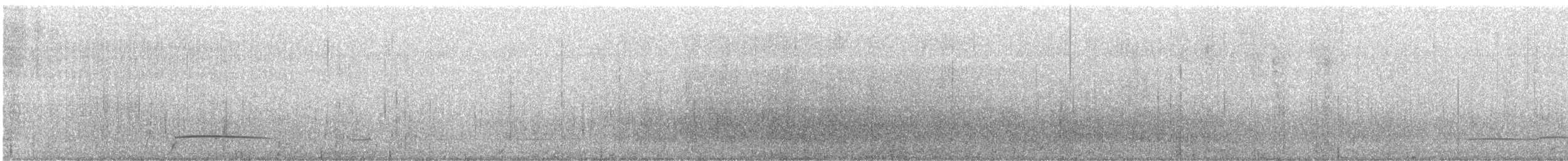 Black Scoter - ML631123805