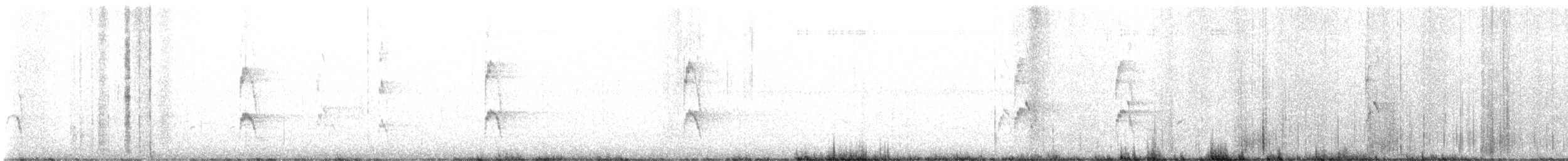 strakapoud kokardový - ML631124150