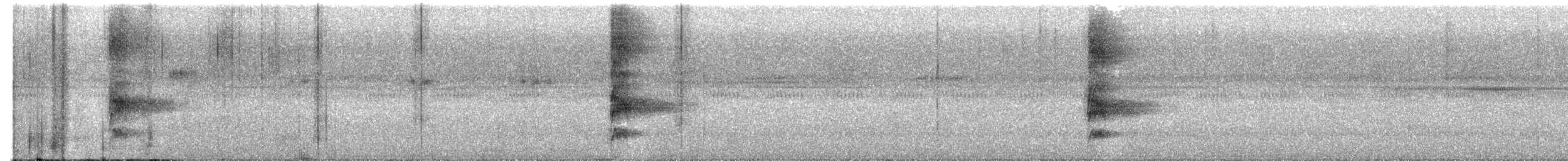 Western Woodhaunter - ML631124380