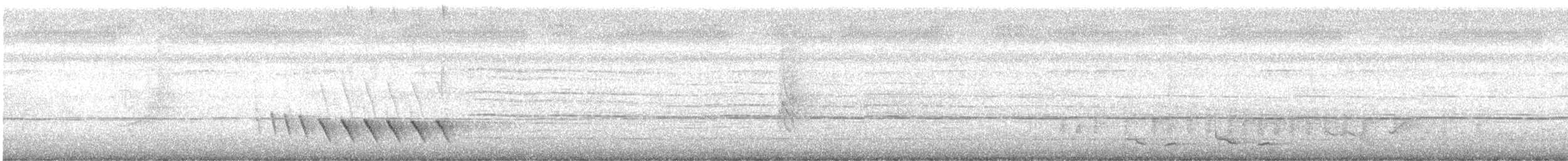 bredstripemeisetimal - ML631125941