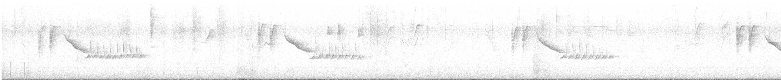 Troglodyte de Bewick - ML631127408