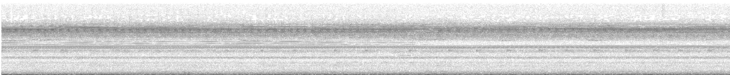 Black-banded Owl - ML631127534