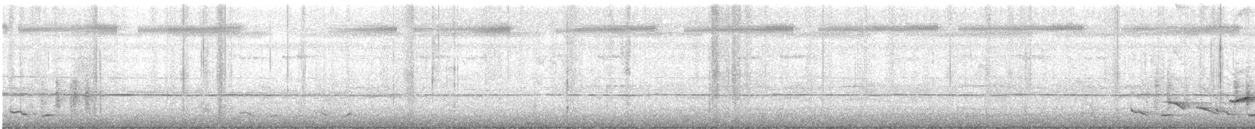 bredstripemeisetimal - ML631127548
