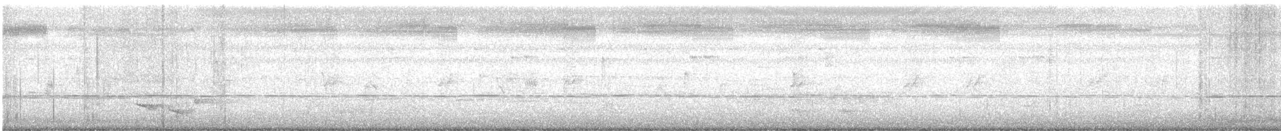 bredstripemeisetimal - ML631128090