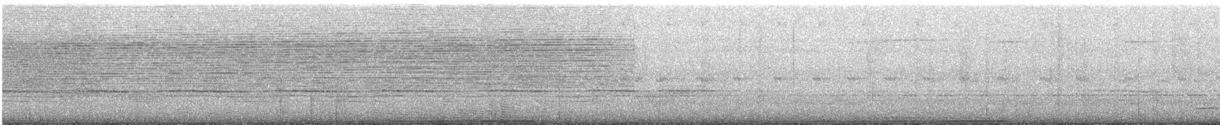 チャバラアメリカジカッコウ - ML631128492