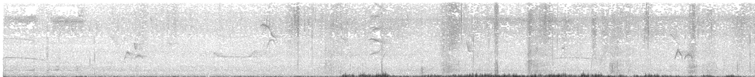 Northern Scrub-Flycatcher - ML631129279