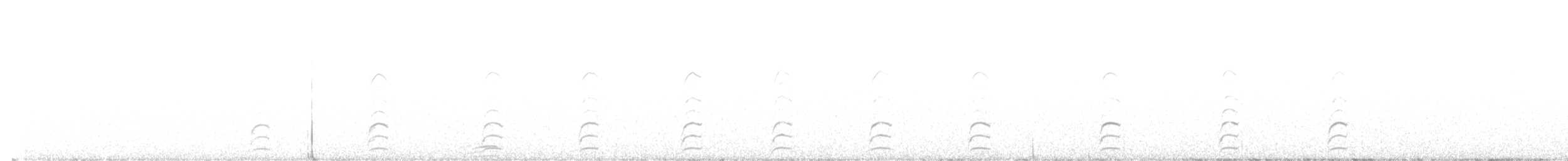 Échasse noire - ML631133517