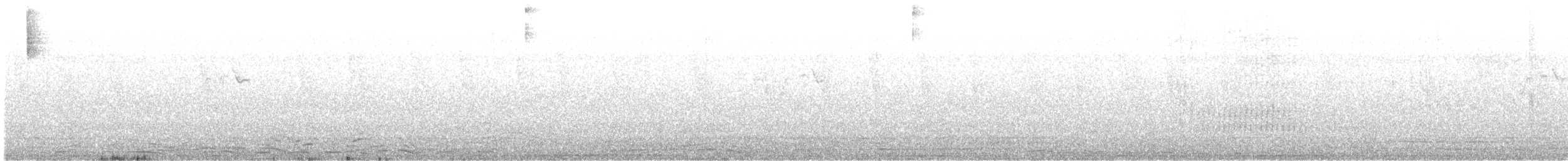 Tohi de Cabanis - ML631137185