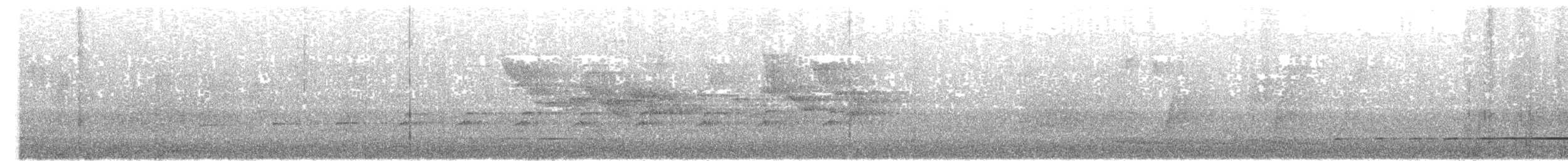 Autour blanc - ML631137539