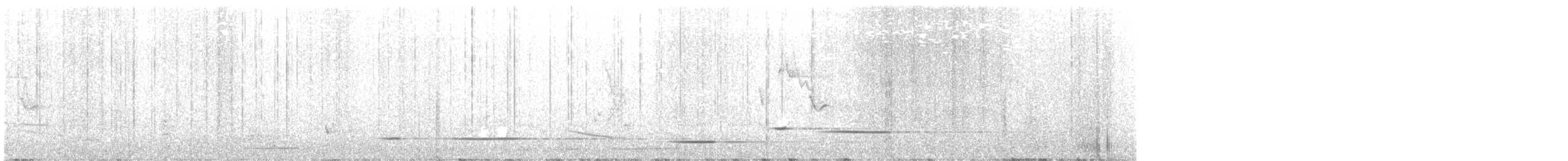 Pied Butcherbird - ML631142596