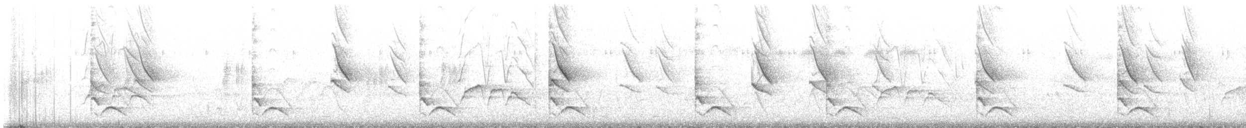 Hirondelle striée - ML631145109