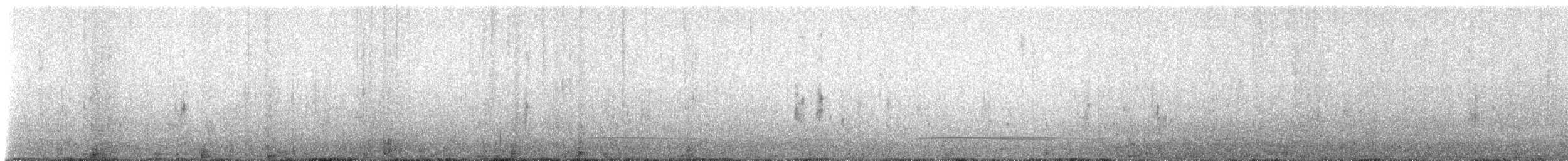 Black Scoter - ML631148187
